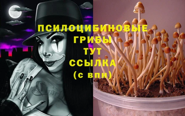 ГАЛЛЮЦИНОГЕННЫЕ ГРИБЫ Алексин