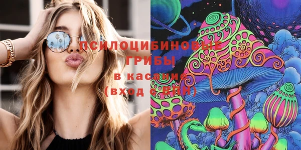 ГАЛЛЮЦИНОГЕННЫЕ ГРИБЫ Алексеевка