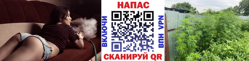 Бошки Шишки гибрид Южно-Сахалинск